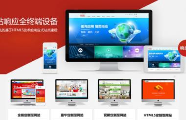 武漢建站公司盛世互聯(lián)服務(wù)項目介紹