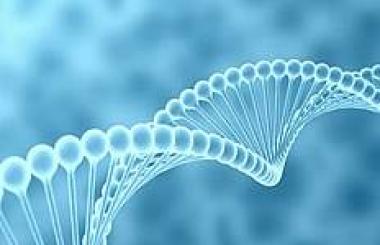 武漢網(wǎng)站建設(shè)需要多少錢?